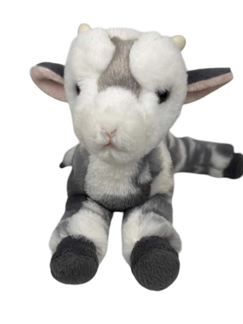 Douglas Cuddle Toy Poppy The Floppy Goat 8 Inches Soft Stuffie - Picture 2 of 12